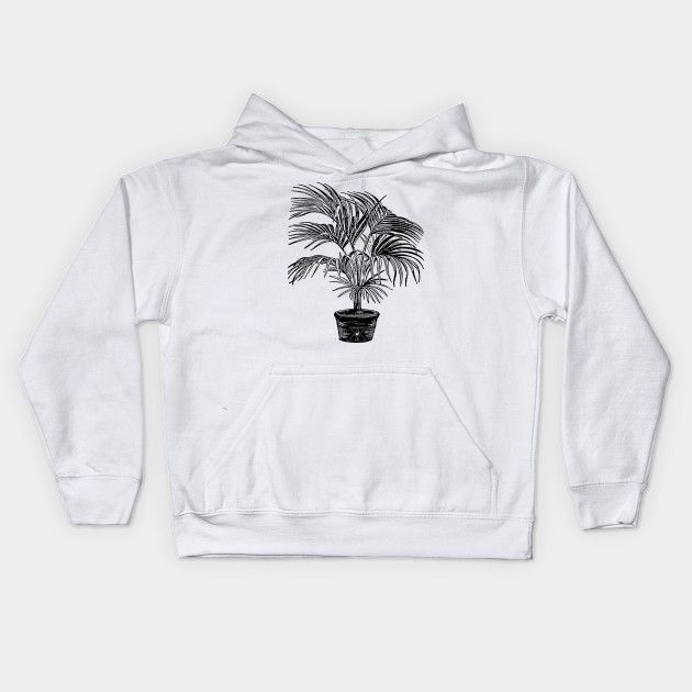 Houseplant Palm Plant Botanical Leaves